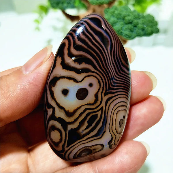 Red Lace Sardonyx Agate-ToShay.org