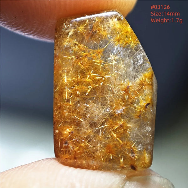 Gold Rutilated Quartz-ToShay.org