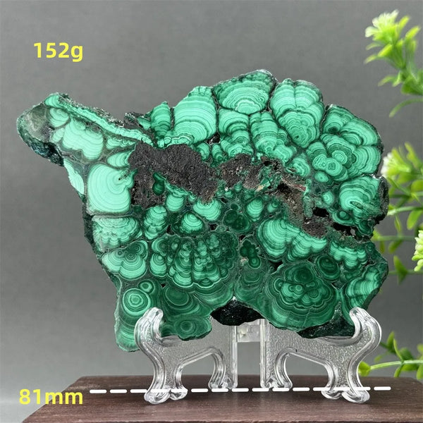 Green Malachite Slice-ToShay.org