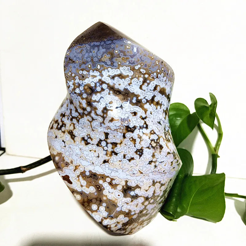 Ocean Jasper Point Flame-ToShay.org