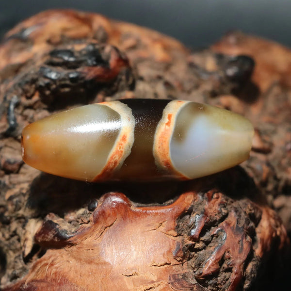 Tibetan Agate Eyes Dzi-ToShay.org