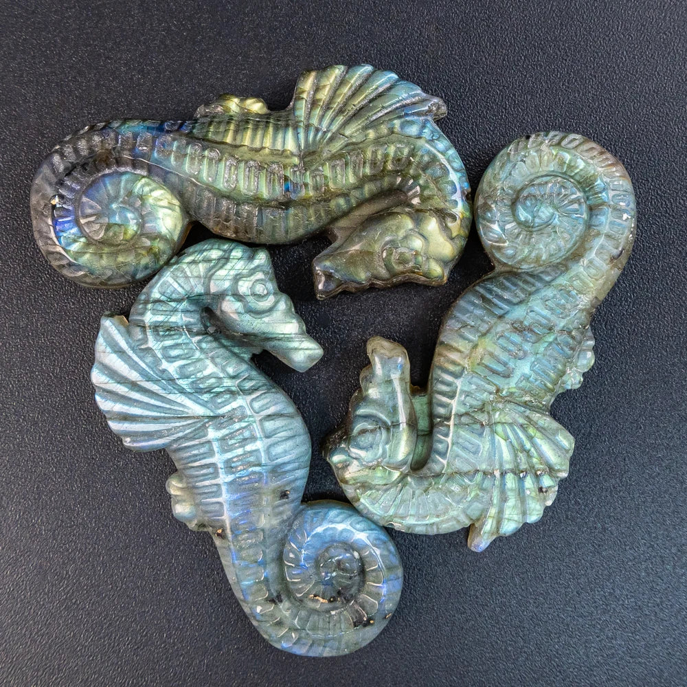 Blue Labradorite Seahorse-ToShay.org