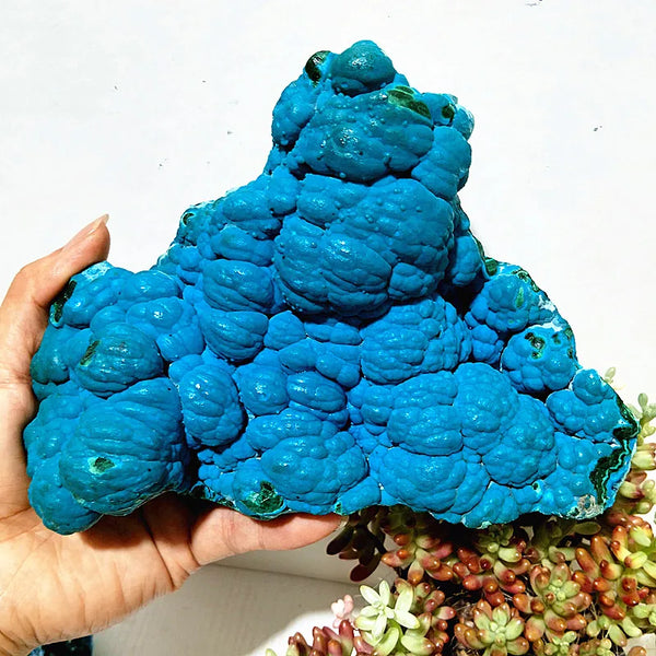 Blue Chrysocolla Crystal-ToShay.org