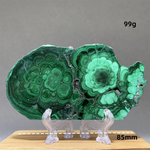 Green Malachite Slice-ToShay.org