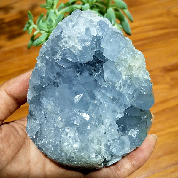 Blue Celestite Geode Crystal-ToShay.org