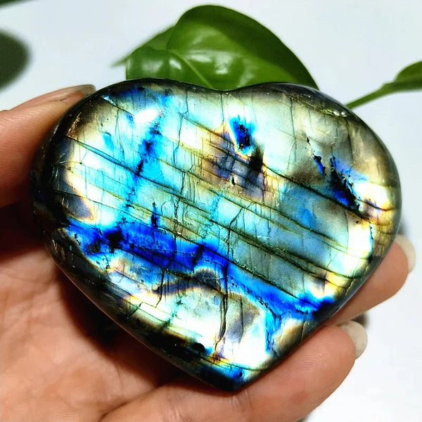 Blue Labrador Heart-ToShay.org