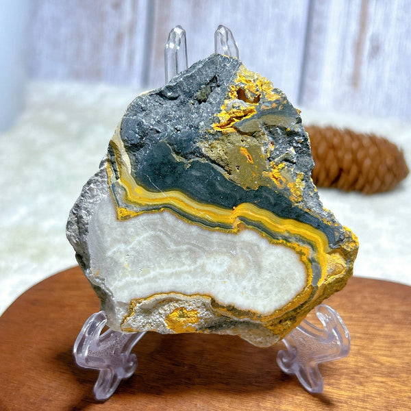 Yellow Bumblebee Slab-ToShay.org