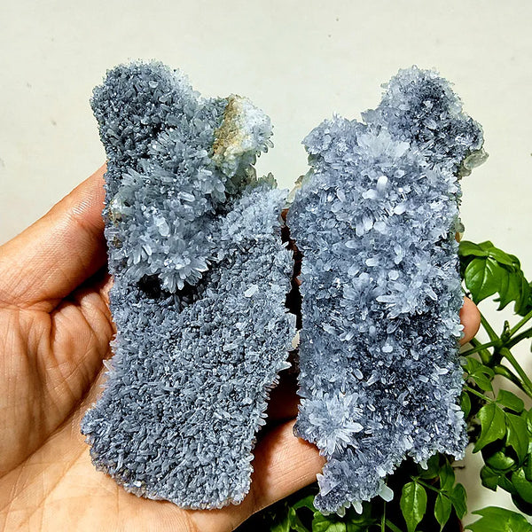 Purple Chrysanthemum Fluorite Crystal-ToShay.org