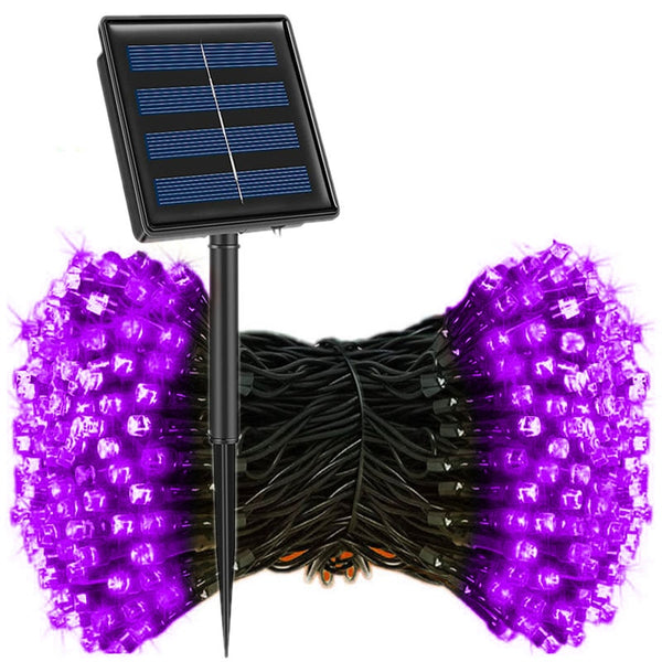 String Fairy Lights-ToShay.org
