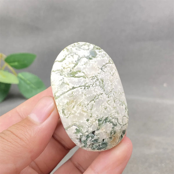 Green Aquatic Agate-ToShay.org