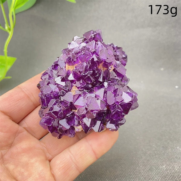 Purple Amethyst Crystal-ToShay.org