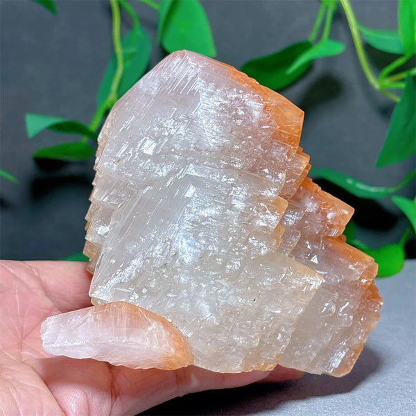 White Melaleuca Calcite Crystal-ToShay.org