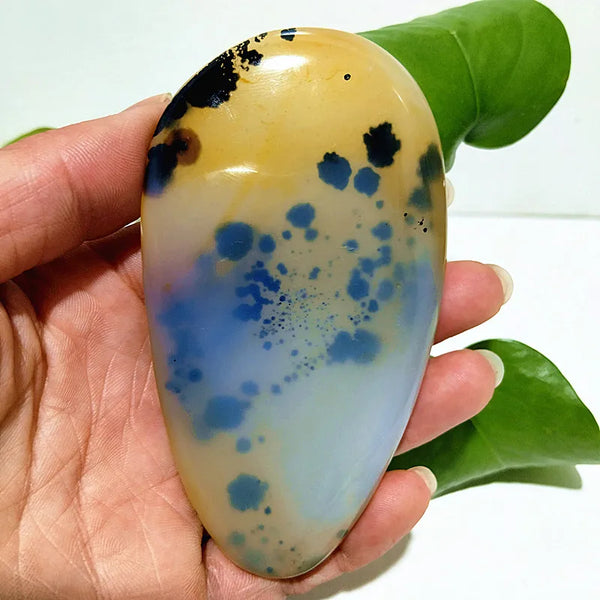 Yellow Blue Water Plant Agate-ToShay.org