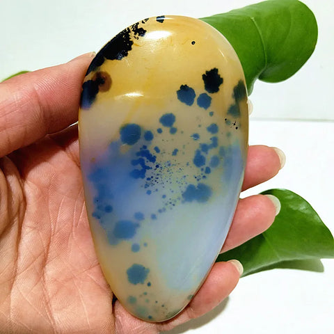 Yellow Blue Water Plant Agate-ToShay.org