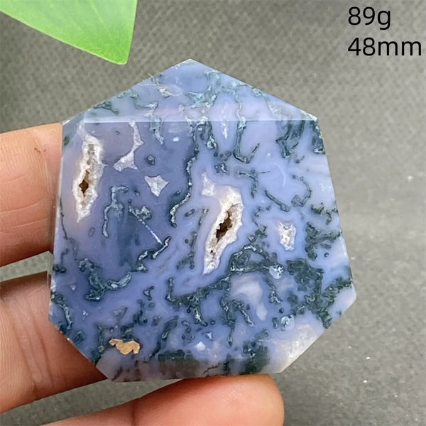 Green Water Plant Agate-ToShay.org