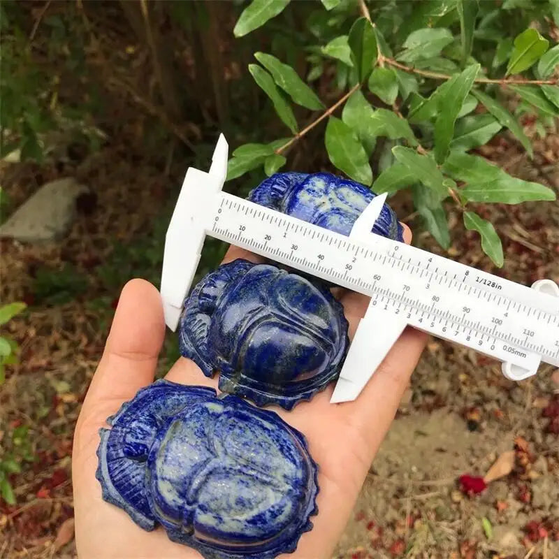 Blue Lapis Lazuli Beetle-ToShay.org