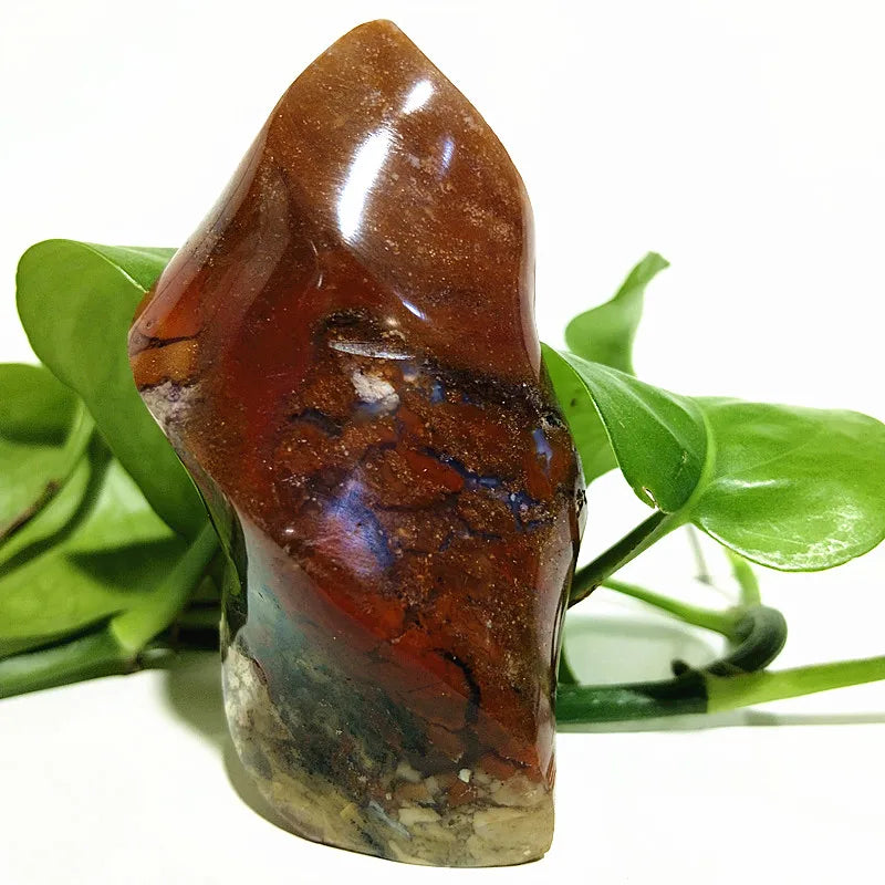 Ocean Jasper Point Flame-ToShay.org