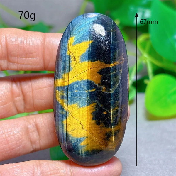 Blue Yellow Tiger Eye-ToShay.org