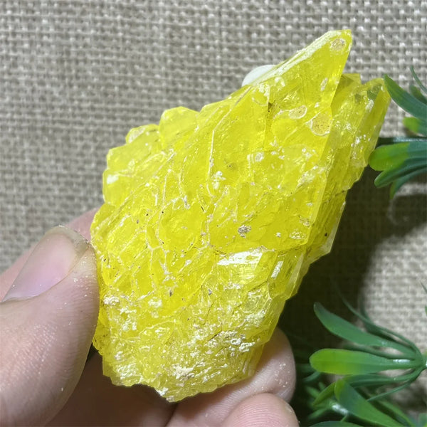 Yellow Sulphur Quartz-ToShay.org
