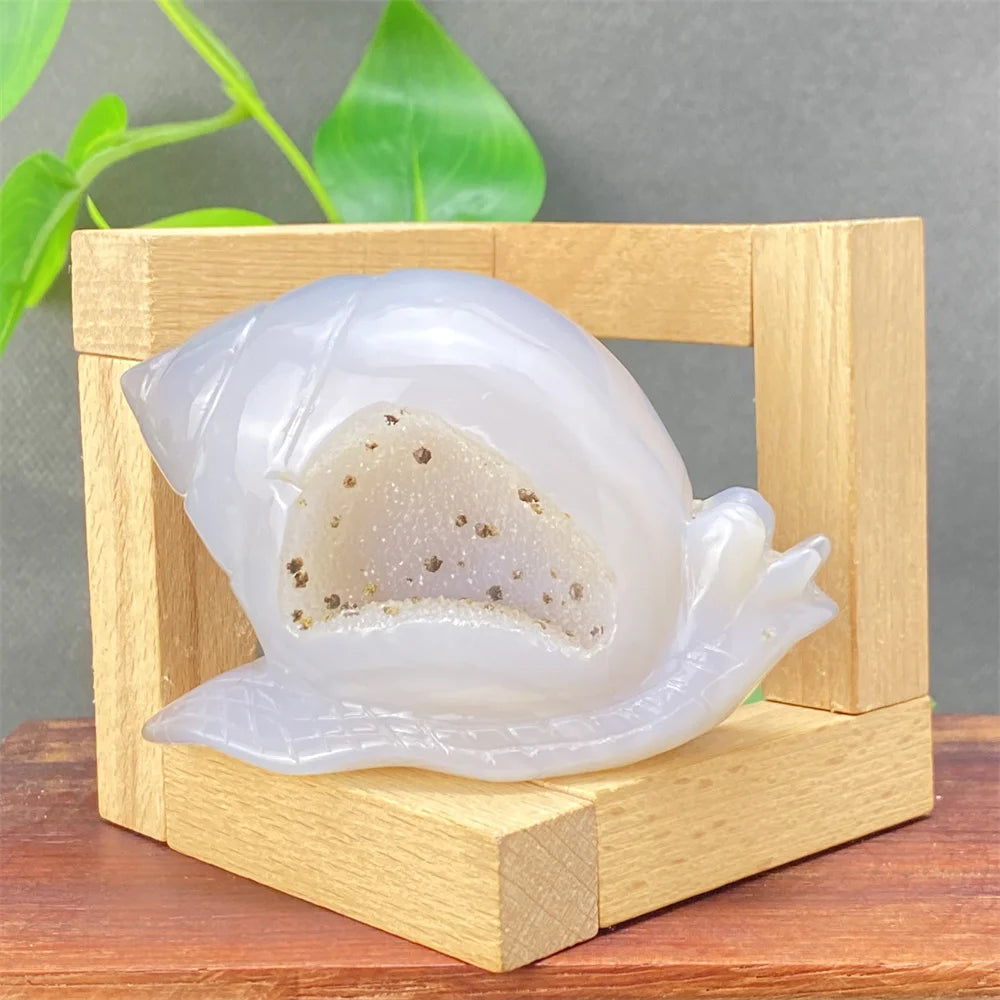 Grey Agate Geode Snail-ToShay.org