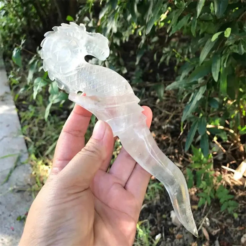 Clear Quartz Seahorse-ToShay.org
