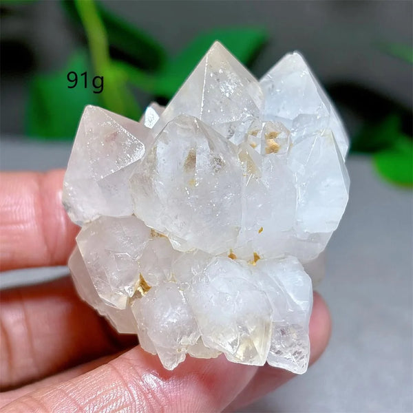 Clear Lotus Backbone Quartz Cluster-ToShay.org
