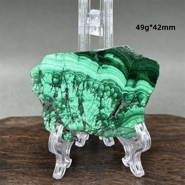 Green Malachite Raw Slice-ToShay.org
