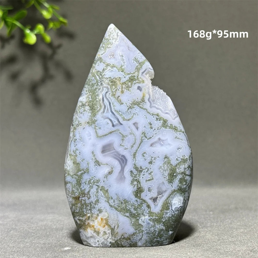 Green Aquatic Plant Agate-ToShay.org