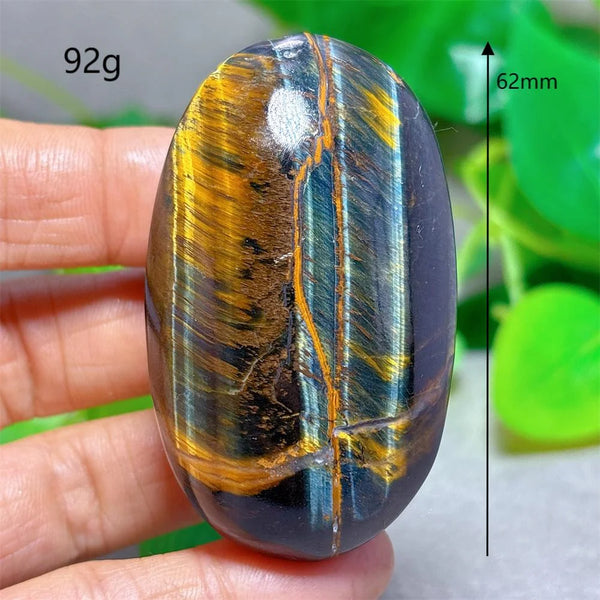 Blue Yellow Tiger Eye-ToShay.org