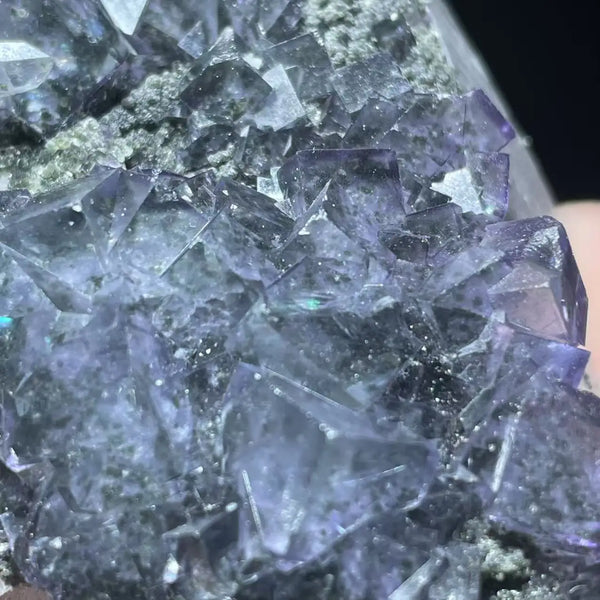 Blue Phantom Fluorite Mica-ToShay.org