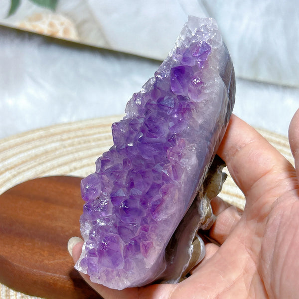Purple Amethyst Squirrel Cluster-ToShay.org