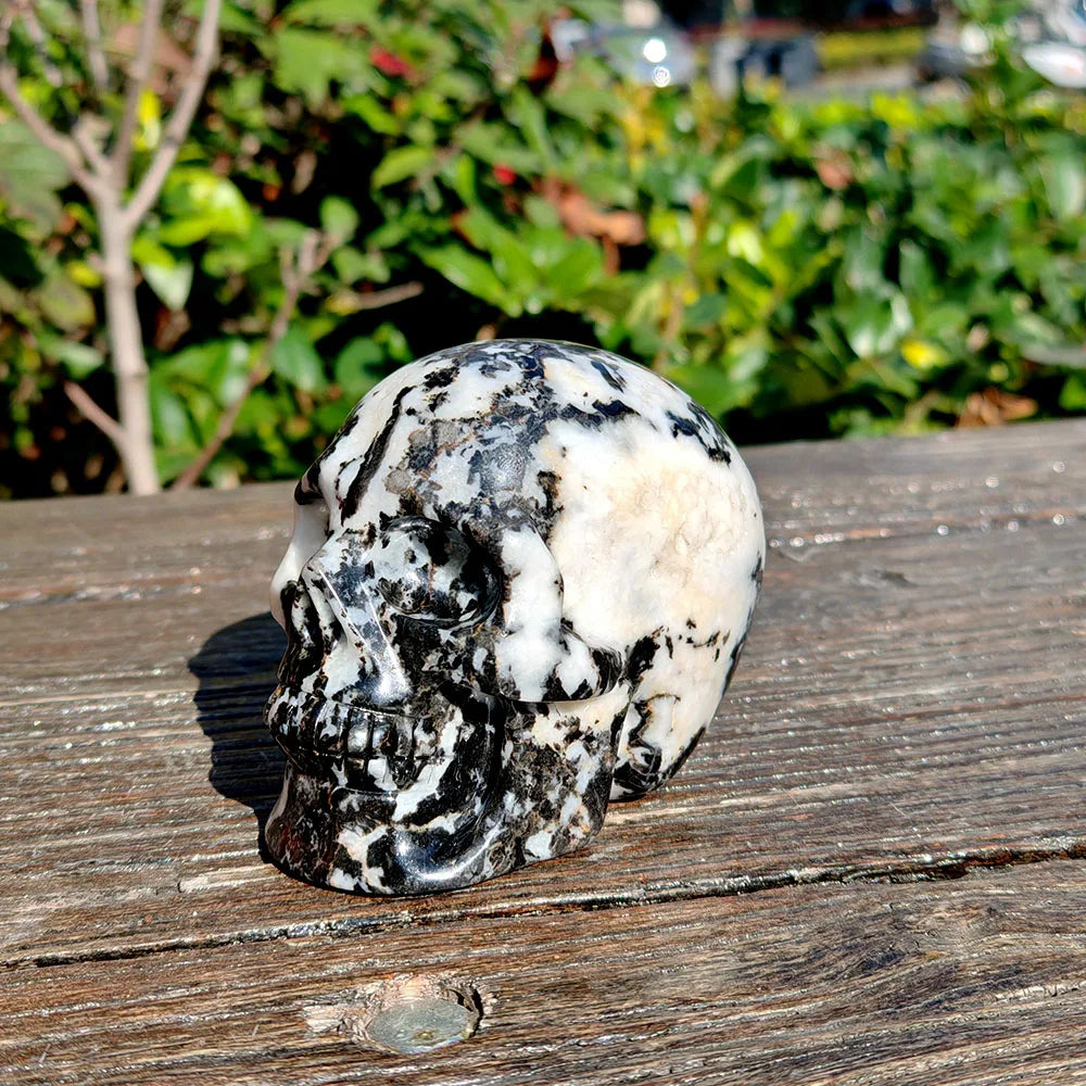 Black White Zebra Jasper Skull-ToShay.org
