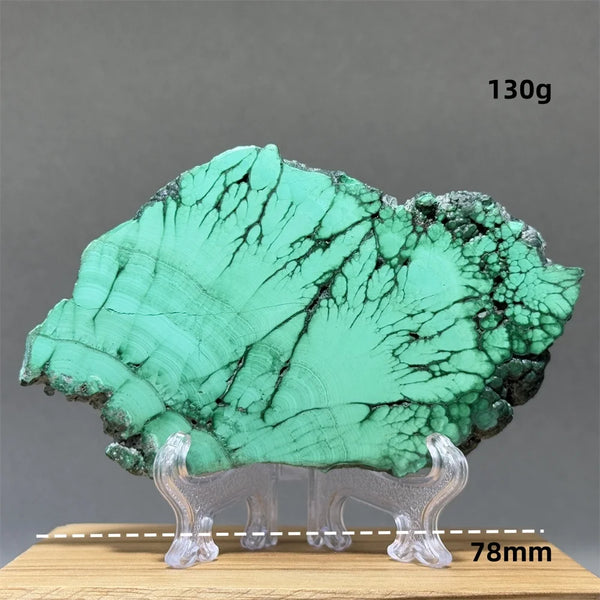 Green Malachite Slice-ToShay.org