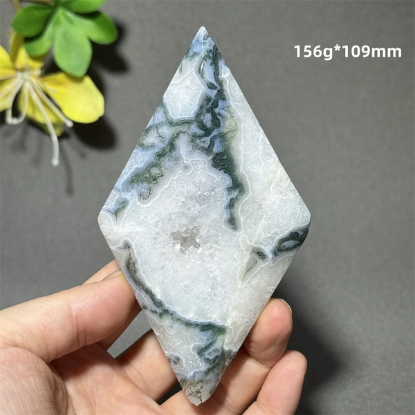 Green Aquatic Plant Agate-ToShay.org