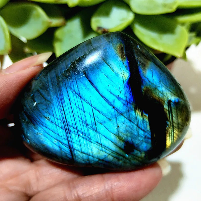 Blue Labrador Stone Heart-ToShay.org