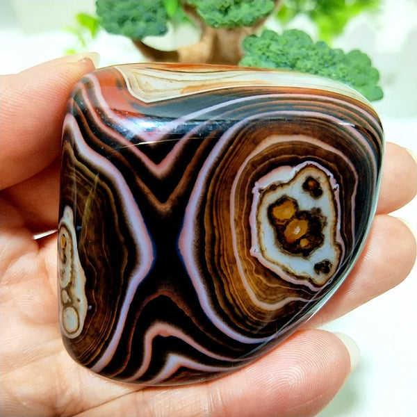 Red Lace Sardonyx Agate-ToShay.org