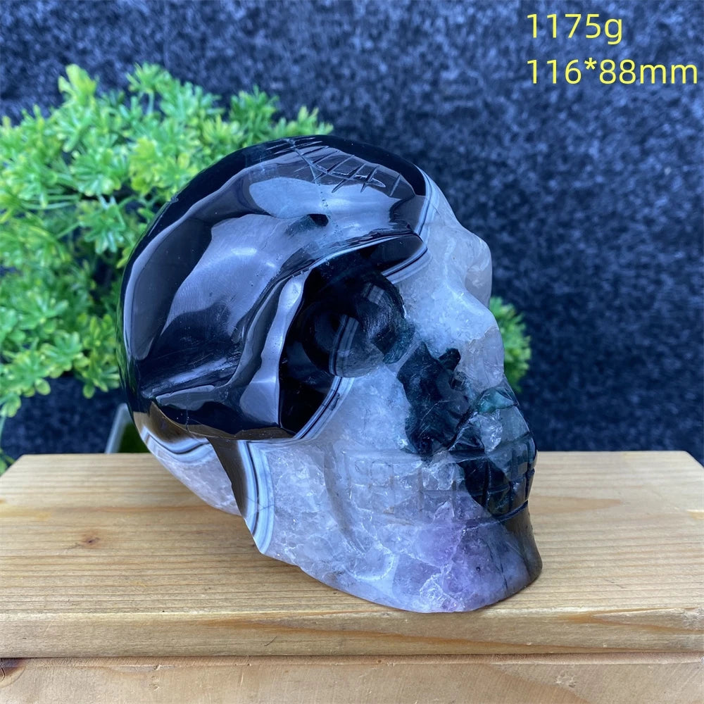 Black Agate Skull-ToShay.org