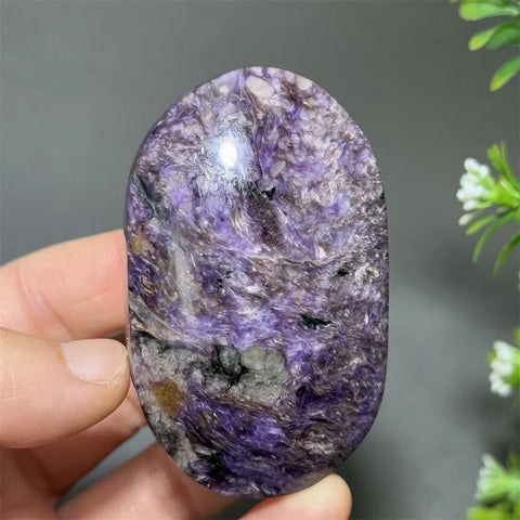 Purple Noble Dragon Stones-ToShay.org