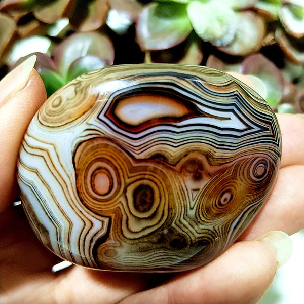 Red Lace Sardonyx Agate-ToShay.org