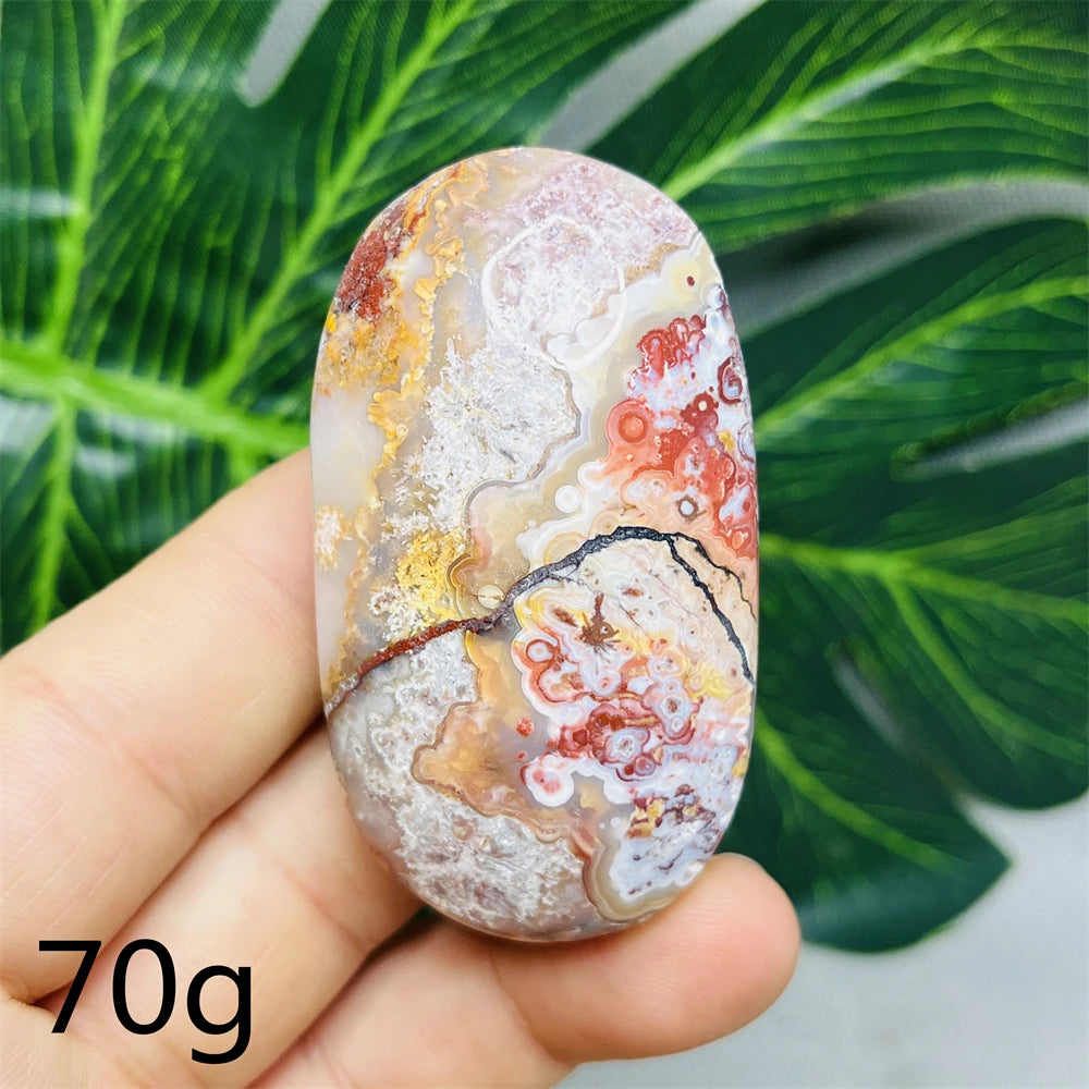 White Red Crazy Agate-ToShay.org