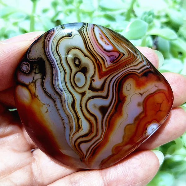 Red Sardonyx Lace Agate-ToShay.org