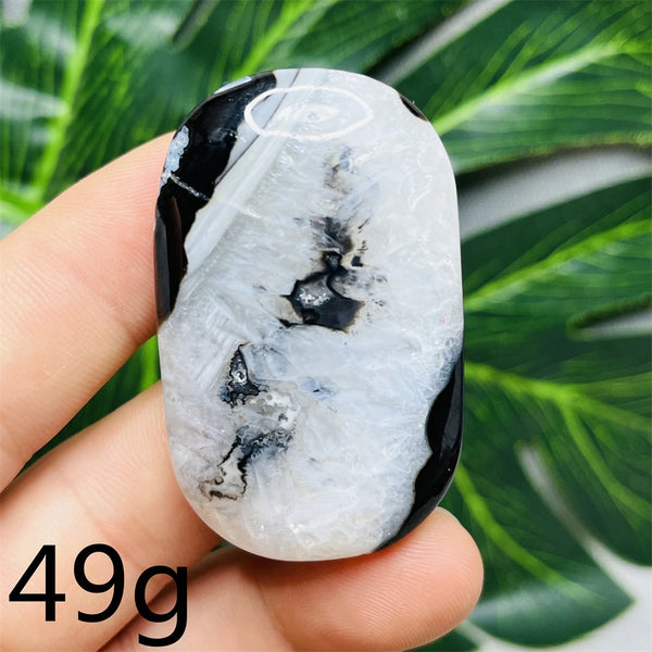 Black White Agate Palm Stone-ToShay.org