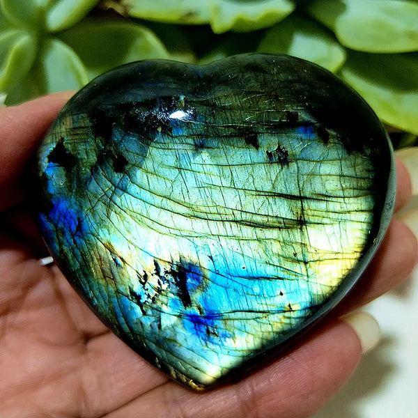 Blue Labrador Stone Heart-ToShay.org