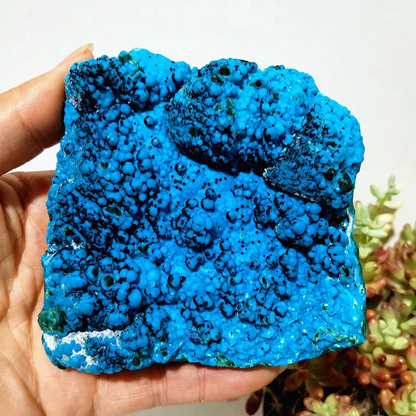 Blue Chrysocolla Crystal-ToShay.org