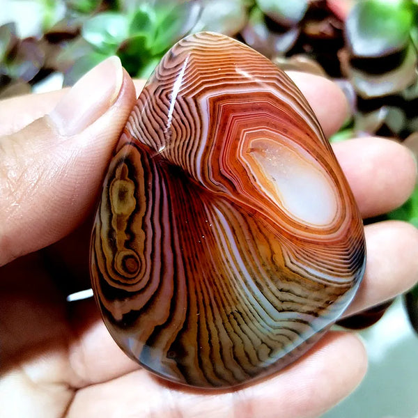 Red Flower Agate Palm Stone-ToShay.org