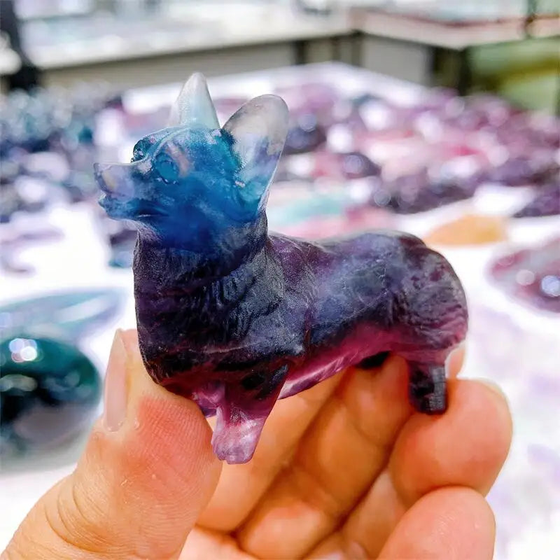 Purple Fluorite Dog-ToShay.org
