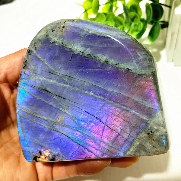 Violet Labradorite Crystal-ToShay.org