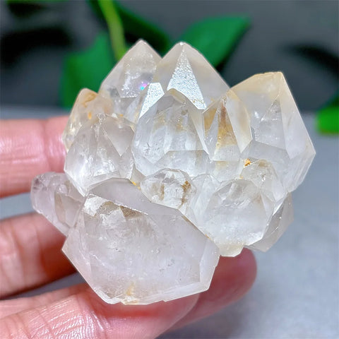 Clear Lotus Backbone Quartz Cluster-ToShay.org