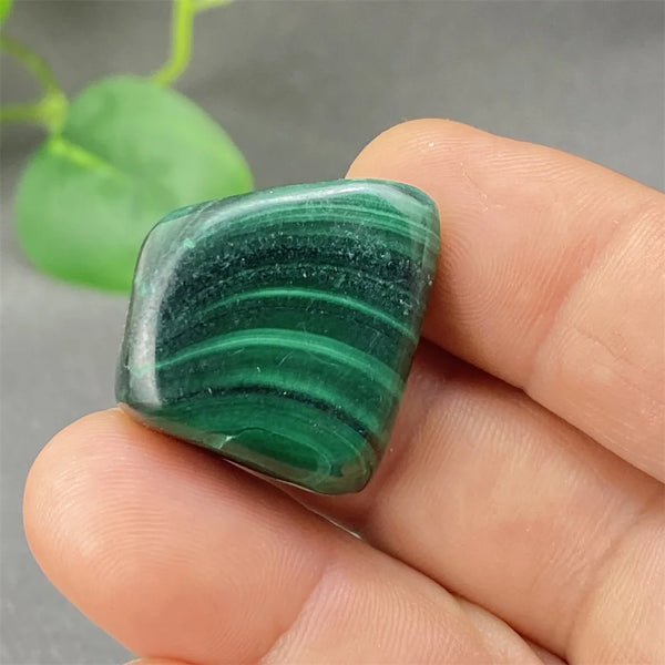 Green Malachite Tumbled Stone-ToShay.org