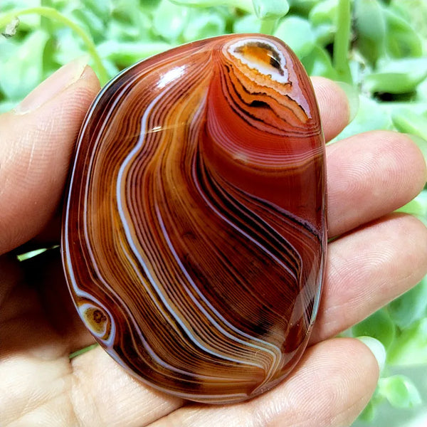 Red Sardonyx Lace Agate-ToShay.org